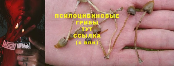 круглые Алексеевка