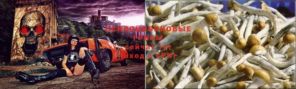 spice Алексин