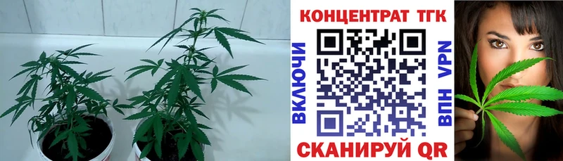 сайты даркнета какой сайт Березники Дистиллят ТГК вейп