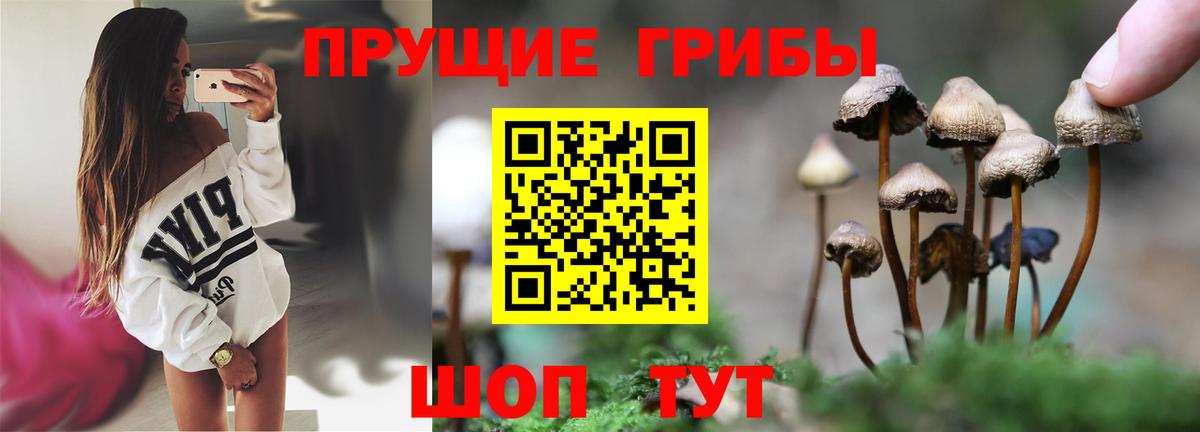 Березники  продажа наркотиков  Галлюциногенные грибы Magic Shrooms  Вход с VPN  Галлюциногенные грибы мицелий 